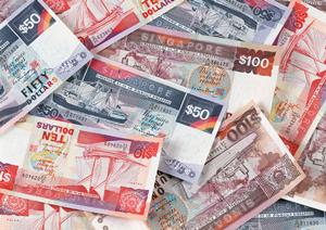 ボス・ブラザーズ・マネジメントの紹介